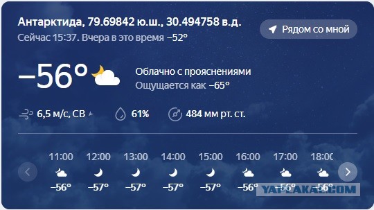 "Полярный гектар": россияне смогут бесплатно получить участок в Арктике