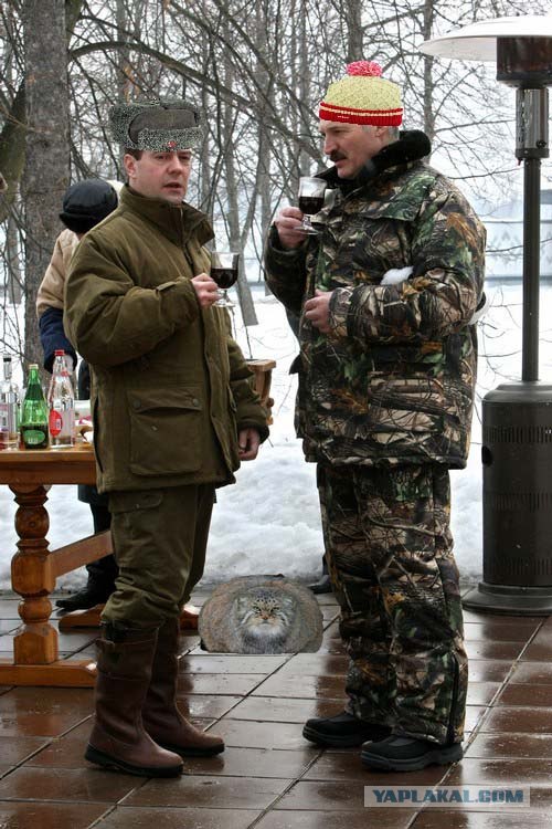 Медведев и Лукашенко