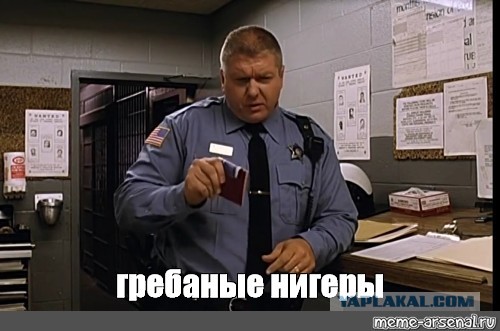 Дальнобойщик наказал африканцев-нелегалов