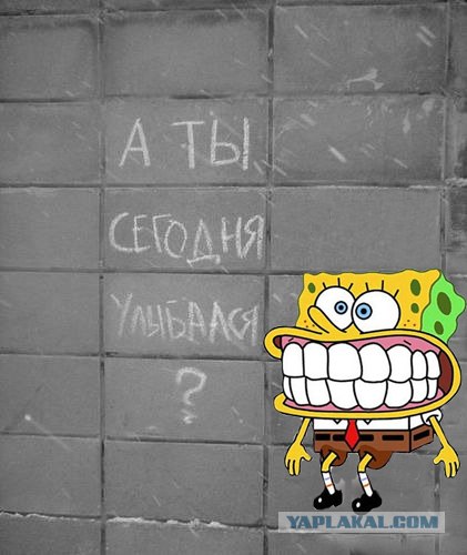 Новые решения в условиях кризиса