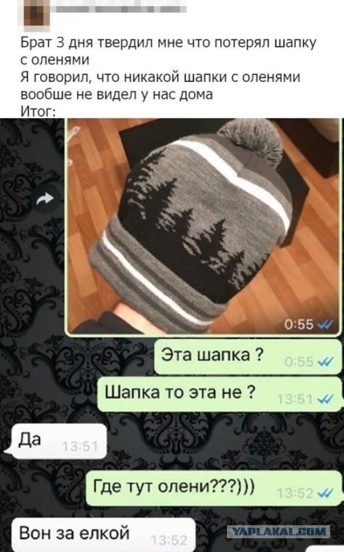 Бредзона 23.10.2020