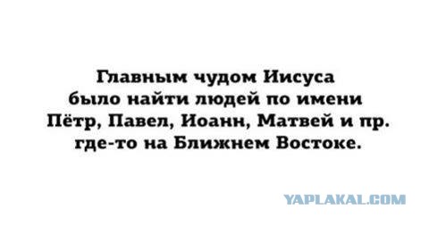 Картинки с надписями фразы  и анекдоты 16.11.20