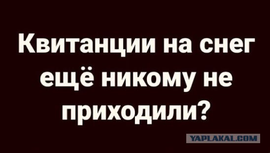 Юмор и прикольные картинки