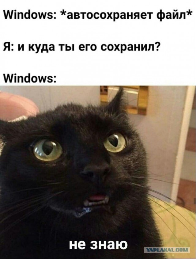 Кретинизмы из KV и KO 27.01.21