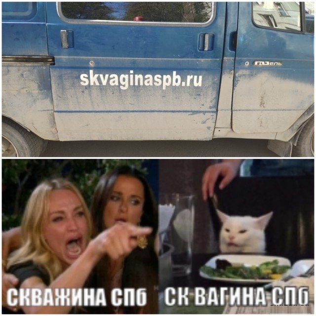 Кота не переубедить