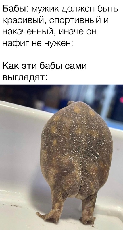 Весёлый полтишок 16.05