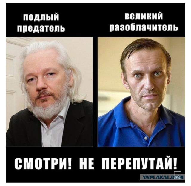 Интервью Навального в New York Times