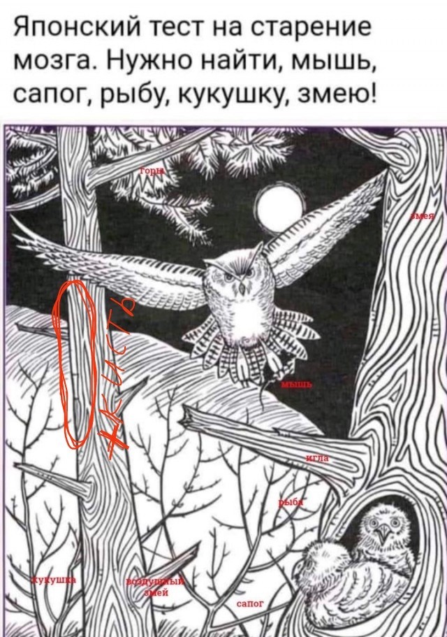 Бредзона 10.10.2021