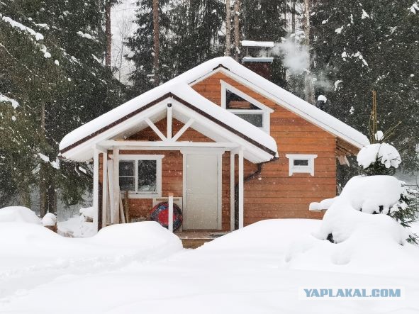 "Где вы берете еду?" Интернет-пользователи на Западе смакуют гигант-человейник в Кудрово