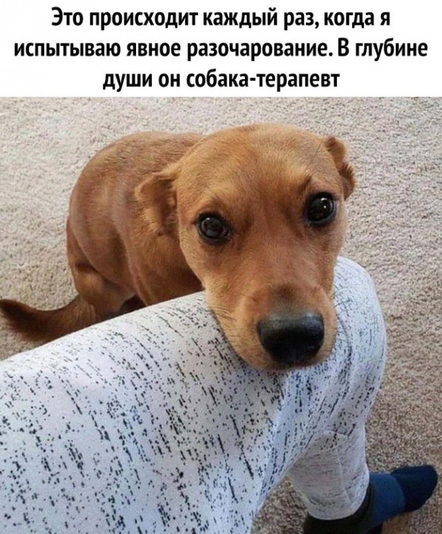 Картинки и мемы для настроения 31.03.2022