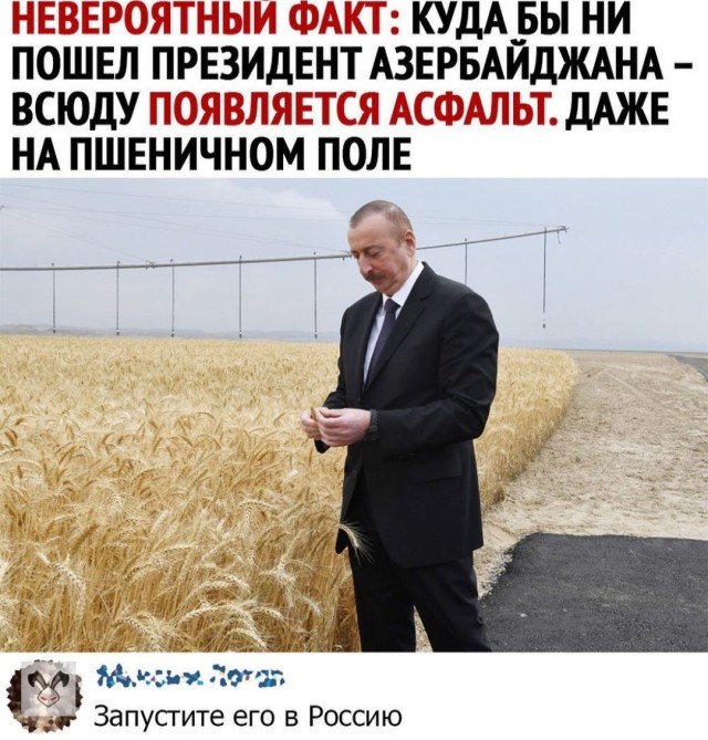 Так себе картинки 08.05.22