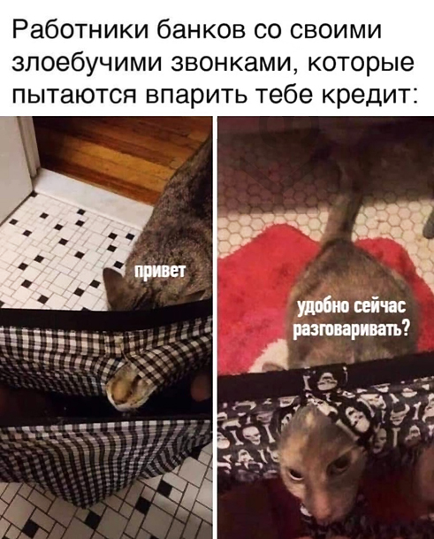 Картинки и мемы для настроения - 21