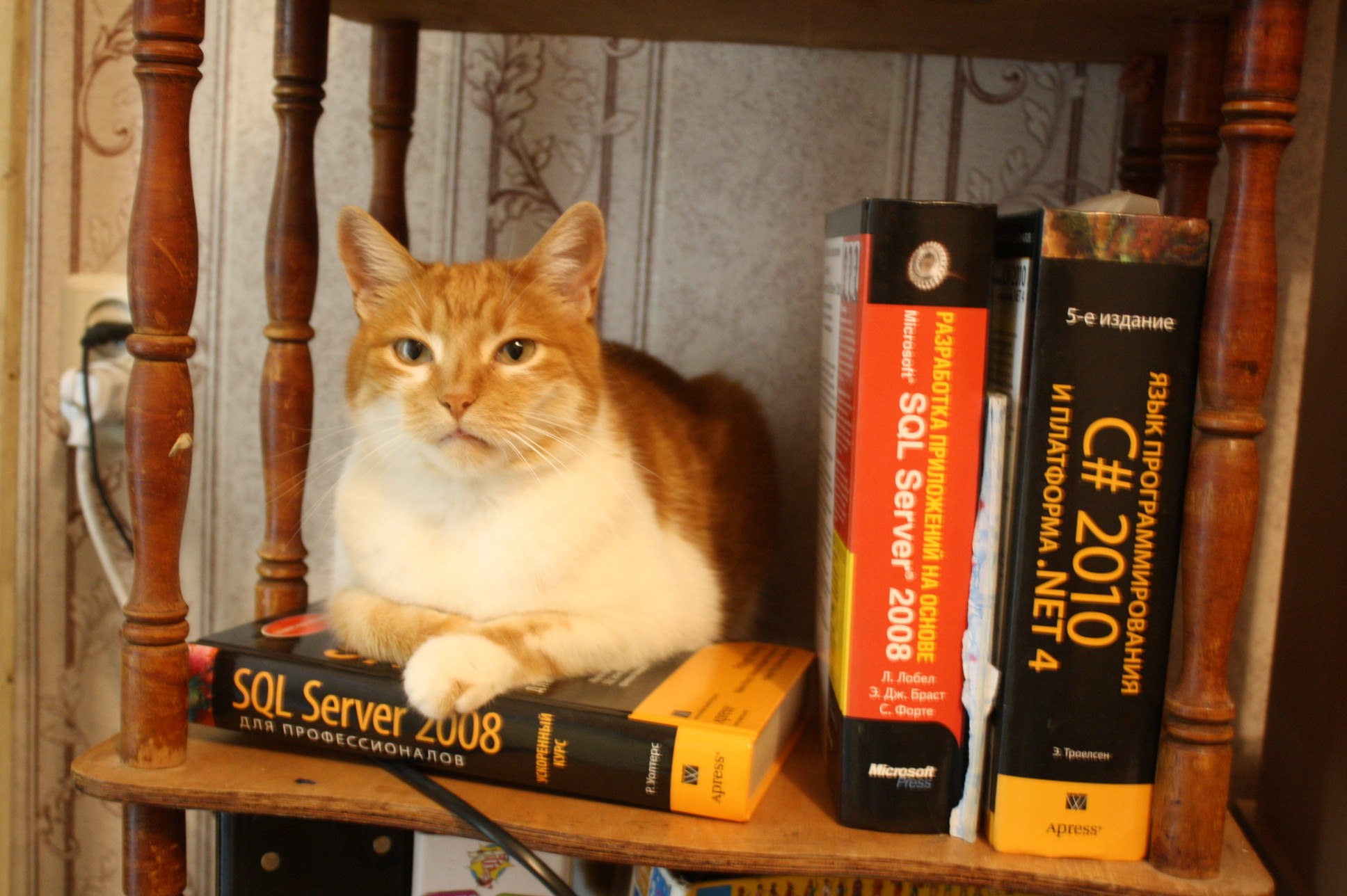 Верните меня хозяину