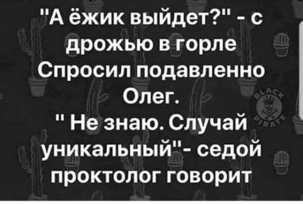 Весёлая проктология для деградантов