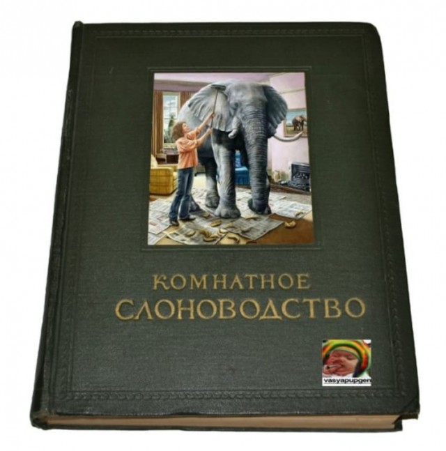Картинки и мемы для настроения - 125