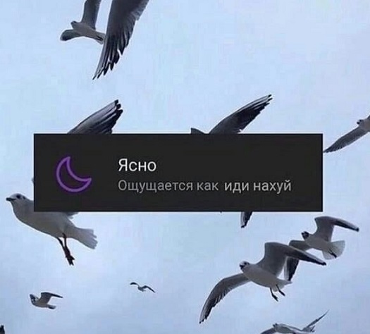 Так себе картинки 17.01.23