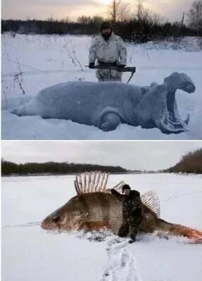 Вот такой вот улов