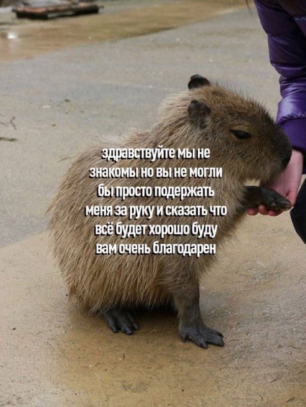 Картинки и мемы, всяко разно - 185