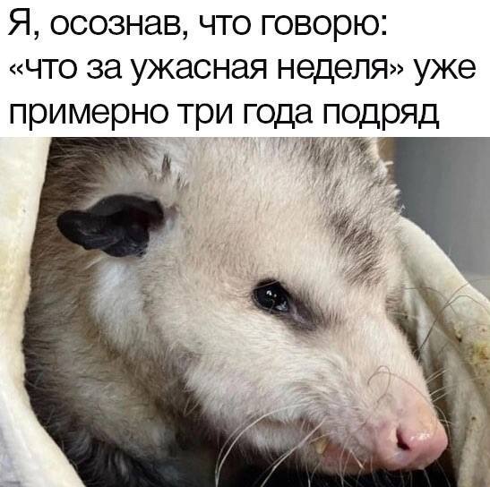 Средненедельная ХНЯ