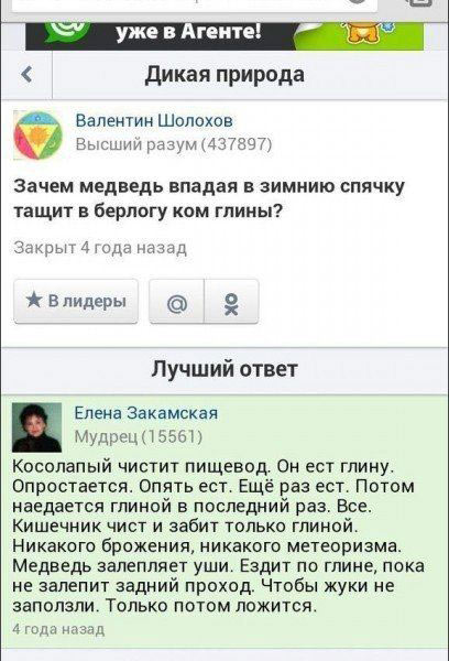 Свеженькие бояны