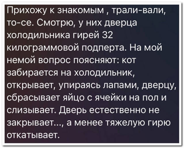 Забавные комментарии из социальных сетей (09.10.23)