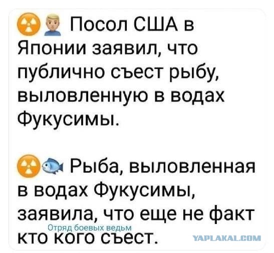 Рыбный день: японцы вынуждены сами есть всю рыбу, которую раньше продавали Китаю
