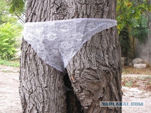 Трусы для смартфона...