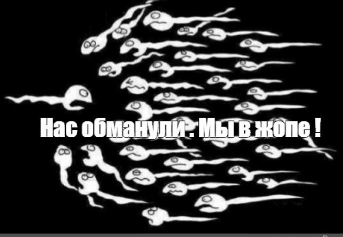 Белые кровяные тельца уничтожают сперматозоидов