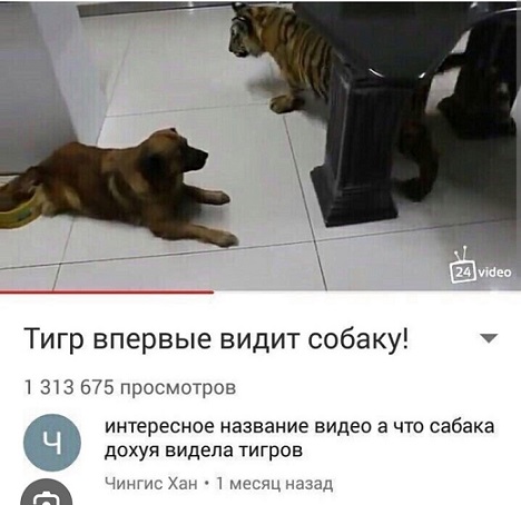 Все мужики одинаковые