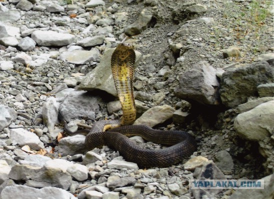 Всё о Туркменистане