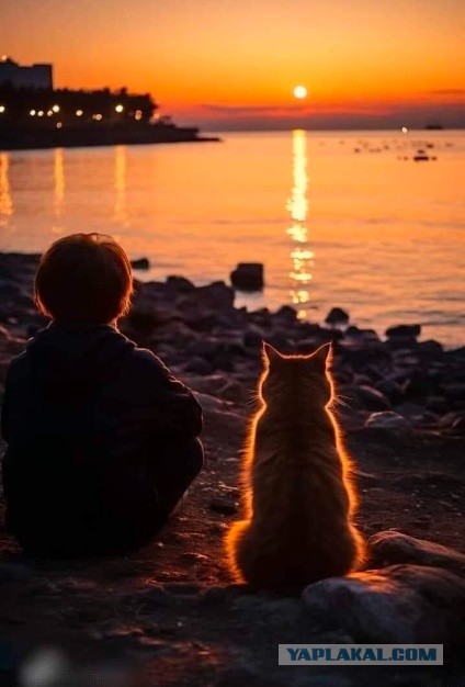 Картина. Кот за дверью