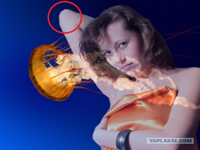 Не перевелись ещё фотодизайнеры...