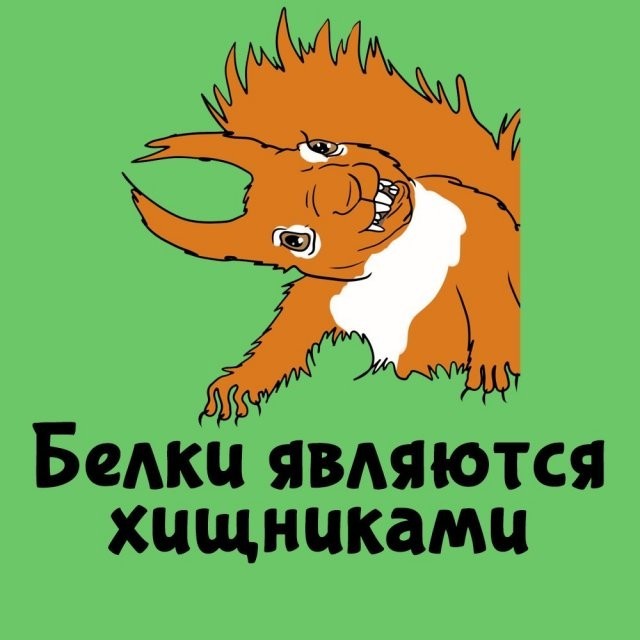Подборка интересных фактов на все случаи жизни