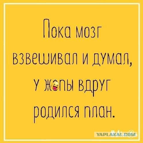 Картинки не для всех