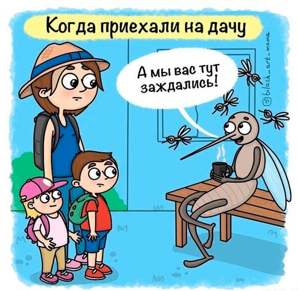 Так себе картинки 22.02.25