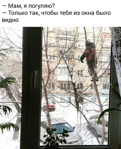 Завалялось тут случайно немного забавных картинок