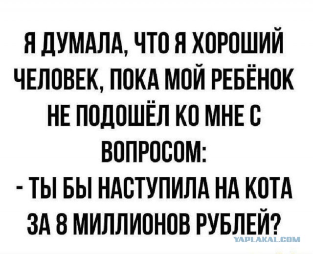 Так себе картинки 21.05.25