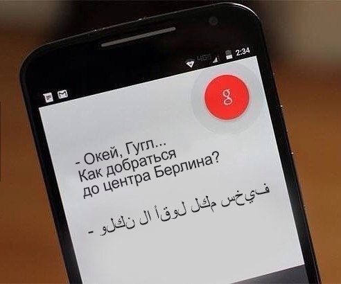 Пятничная дичь