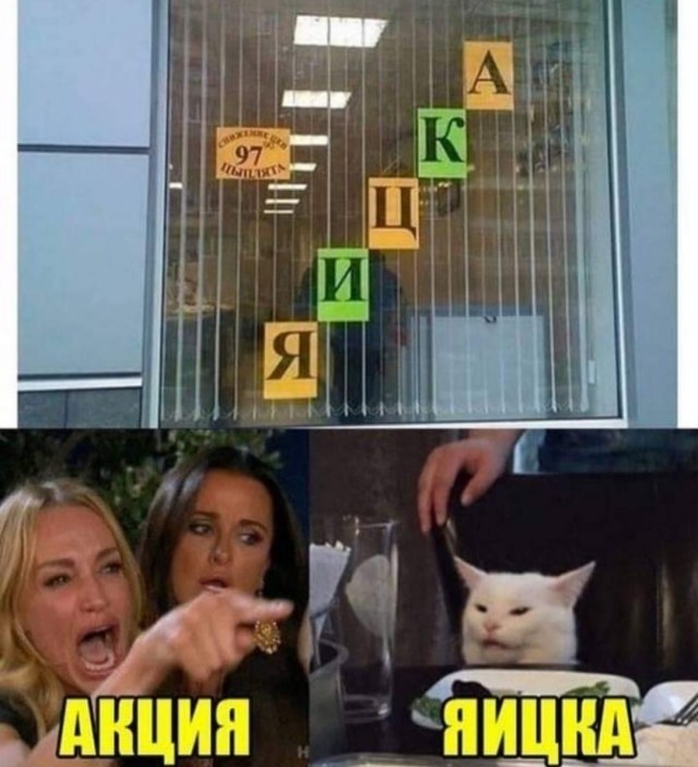 Знаменитый кот