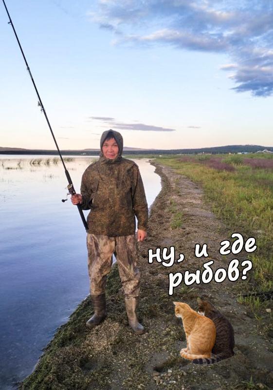 Профотожабте пожалуйста