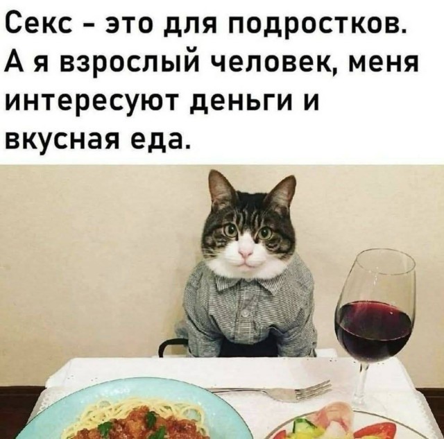 К котовторнику: подборка картинок-баянов с котиками и про котиков. Выпуск 20.