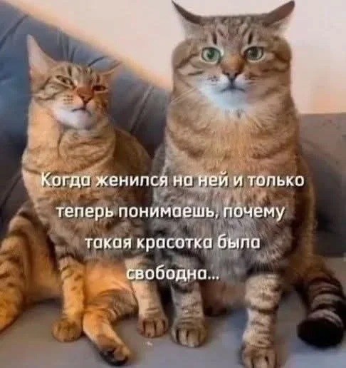 Октябрь, день десятый …