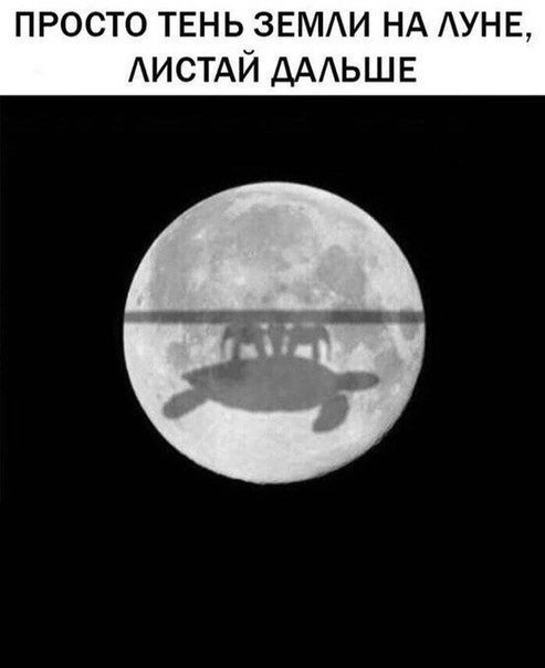 72% опрошенных россиян не верят в высадку американцев на Луну в 1969 году