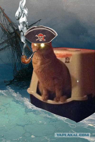 Фотожаба: Злой Кот