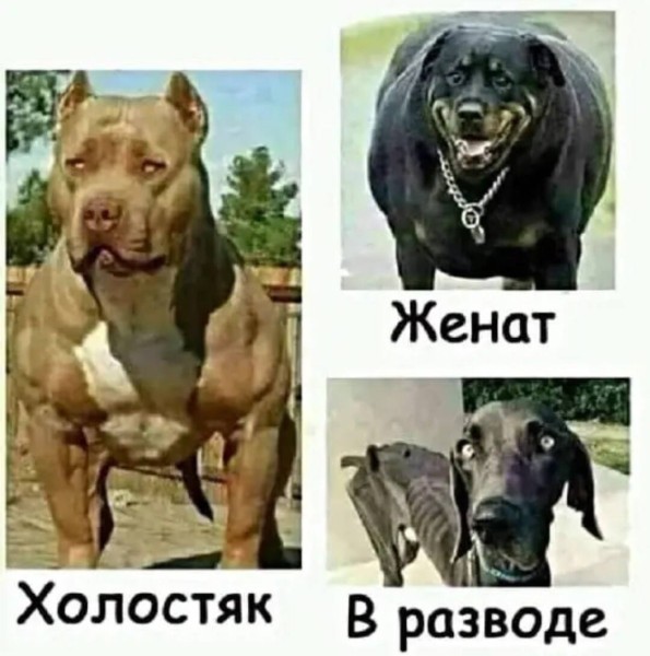 Так себе картинки 30.06.26