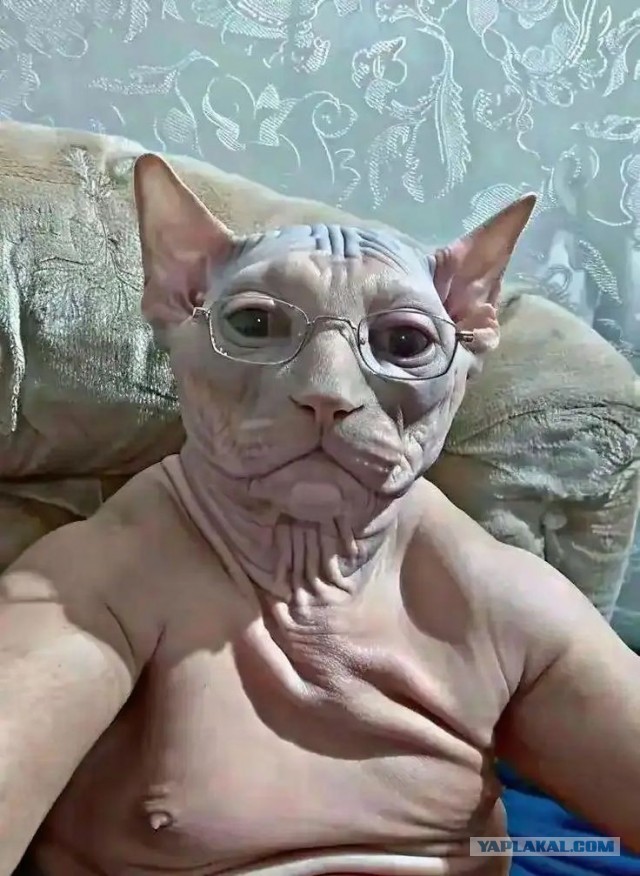 Долой анонимность, коллеги?