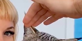 Такую кошку содержать дорого