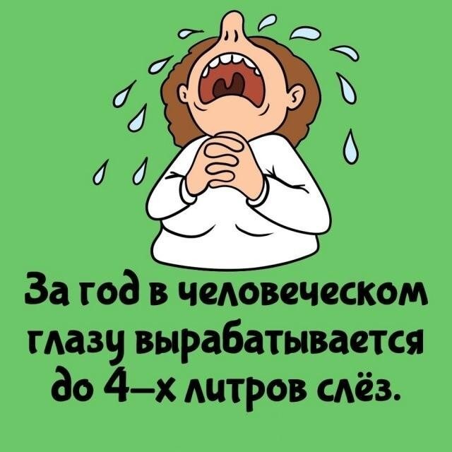 Интересные и короткие факты,на все случаи жизни 23.10.26