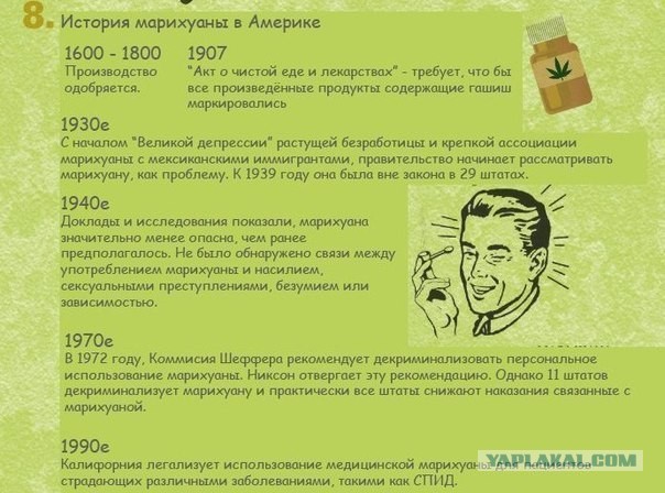 Сиэтл Hempfest 2013