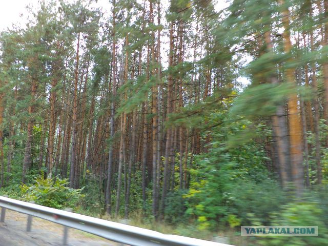 Рыбалка в Астрахани